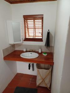 a bathroom with a sink and a window at Aurora Bushbaby 1 in Centurion