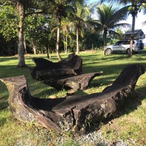 a tree trunk laying on the grass in a park at Canto Caiçara Hostel in Paraty