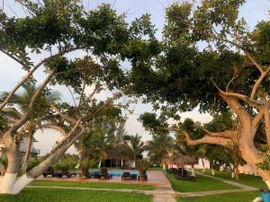 - une vue sur un complexe arboré et une piscine dans l'établissement Mar De Estrellas - Hotel, à Costa Esmeralda