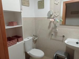 a small bathroom with a toilet and a sink at El Barro Colorao in Segura de León