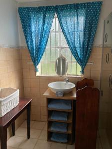 baño con lavabo y ventana con cortinas azules en HEELTEVREDE Self-Catering farmhouse, en Bloemfontein