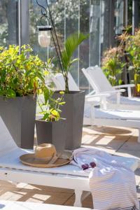 a hat sitting on a table with potted plants at Hotel Valeria Apart & Hotel Spa in Valeria del Mar