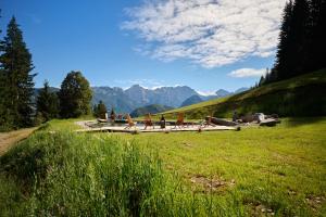 un campo de hierba con bancos en la cima de una montaña en Holiday chalet "Alpine dreams" en Solčava