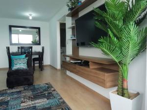 uma sala de estar com uma televisão e um vaso de plantas em Lindo y Espacioso Departamento muy cerca a Miraflores em Lima