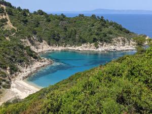 a cove on a mountain with blue water and trees at Villa Ulyana Sarti - Ancient Greece in Center in Sarti