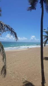 a beach with two palm trees and the ocean at Beautiful beachside apartment w/ terrace, balcony. 