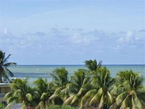 a view of a beach with palm trees and the ocean at Beautiful beachside apartment w/ terrace, balcony. 