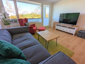 a living room with a couch and a flat screen tv at Ferienwohnung BergOase mit Pool & Sauna in Scheidegg