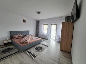 TV a/nebo společenská místnost v ubytování Agropensiunea Maya-Andrei