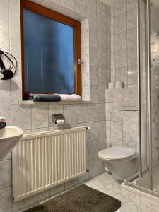 a bathroom with a toilet and a sink and a window at Schönes Studio im ruhigen Kaunertal in Kaunertal