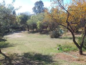 a park with trees and grass and a field at Chañares in San Javier