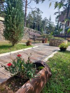 Um jardim no exterior de Apartmani Borova Iglica Divčibare