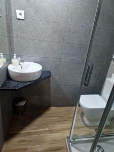 a bathroom with a sink and a toilet at Hostal Corazón de Madrid in Madrid