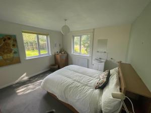 ein Schlafzimmer mit einem Bett und zwei Fenstern in der Unterkunft Secluded 3 bed cottage in private parkland in Brockenhurst