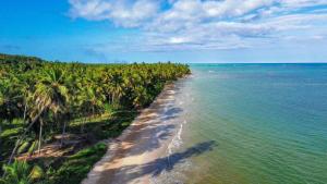 a beach with palm trees next to the ocean at Pousada Villa Marceneiro Beach in Passo de Camarajibe