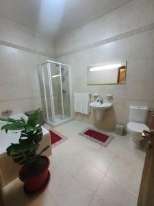 een badkamer met een douche, een toilet en een wastafel bij B&S Accommodation Solitary Duplex Maisonette in Żejtun