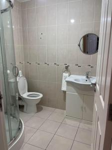 a bathroom with a toilet and a sink and a mirror at Lovely 2 bedroom family apartment in Newcastle in Newcastle