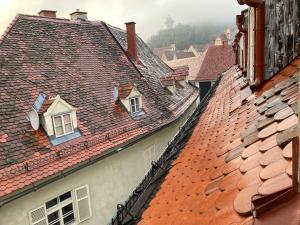 widok na dachy budynków z oknami w obiekcie Carillon by BestChoice - Old City - Self Check-in with PARKING option w Grazu