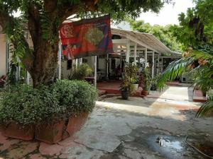 a flag hanging from a tree in front of a building at Albergue Flor do Caribe in Parintins