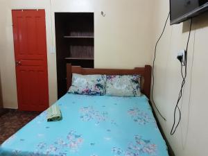 een slaapkamer met een blauw bed en een rode deur bij Albergue Flor do Caribe in Parintins