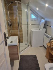 uma casa de banho com um chuveiro, um WC e um lavatório. em Domek pod Hyrką em Jankowce