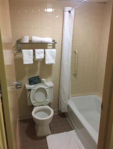 a bathroom with a toilet and a bath tub at Wolf Inn Hotel in Sandusky