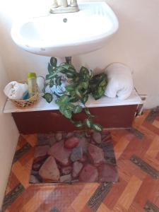 uma casa de banho com um lavatório e uma planta no chão em Cocoa Cabana em Scarborough