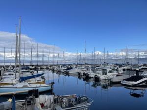 a bunch of boats docked in a harbor at Appartement cozy au centre d'Évian pour 4 personnes - FR-1-498-58 in Évian-les-Bains +4 photos