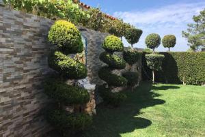 PatrovesにあるGracaの煉瓦の看板の形の茂み
