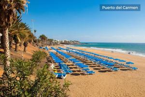 プエルト・デル・カルメンにあるNice villa in Puerto del Carmen w-の青い椅子とヤシの木と海のビーチ
