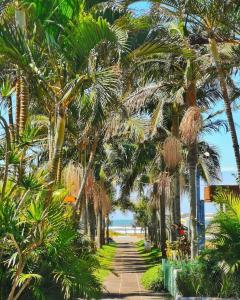 a path lined with palm trees next to the beach at Ótima Localização!!! Apartamento De Frente No Centro De Capão Da Canoa in Capão da Canoa