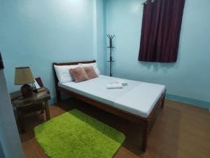 a bedroom with a bed with a green rug at EZ & V Guesthouse in Pagsanjan