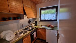 una pequeña cocina con fregadero y ventana en Germanus Ferienwohnung en Warmensteinach