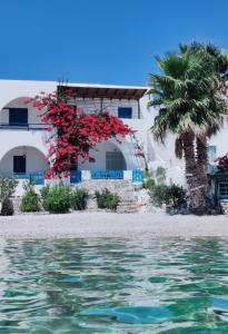 a house on the beach with a palm tree at Family house by the seaside of Karavostasis in Karavostasi
