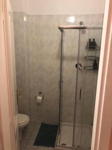 bagno con doccia e servizi igienici di Piccola Giungla Lungarno a Pisa