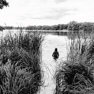 un pato está nadando en un lago en Ferienhaus direkt am Schmalensee, en Schmalensee