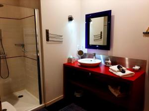 bagno con lavandino e doccia di L'ESCALE DE BEL AIR Chambres d'hôtes a Gauriac