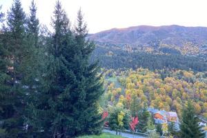Φυσικό τοπίο κοντά σε αυτό το διαμέρισμα