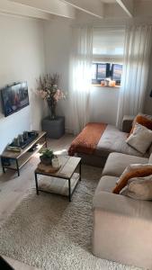 un soggiorno con divano e letto di Maas Lodge a Maaseik