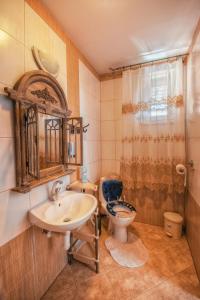a bathroom with a sink and a toilet at Penzion Šilon in Ždiar