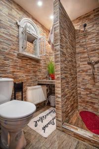 a bathroom with a toilet and a walk in shower at Penzion Šilon in Ždiar