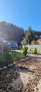 a yard with a house and a field with trees at Tiny Dream House in Buşteni