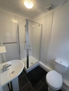 a bathroom with a shower and a toilet and a sink at Amaya Two - Spacious, ground floor apartment with a large patio area. in Lincolnshire