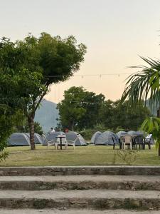 a group of tents in a field with tables and chairs at The Offbeat Lounge in Udaipur