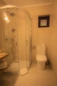 ein Badezimmer mit Dusche und Toilette in der Unterkunft Hunter Vip in Reghin + 48 Fotos