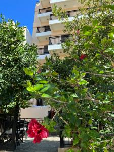 a building with a red flower between two trees at Candia Hotel in Chania Town