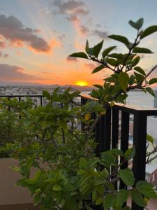 uma vista para o pôr-do-sol a partir de uma varanda em Candia Hotel em Chania