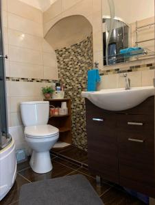a bathroom with a toilet and a sink at Alžbetina 15 - DREAM apartmán in Košice