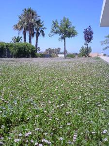 Vonkajšia záhrada v ubytovaní Family house with nice garden 10min from Sanlúcar