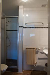 ein Bad mit einer Dusche und einem Waschbecken in der Unterkunft Haus Anny in Haidmühle